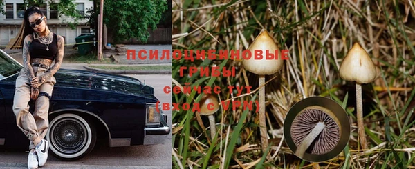 эйфоретик Верея