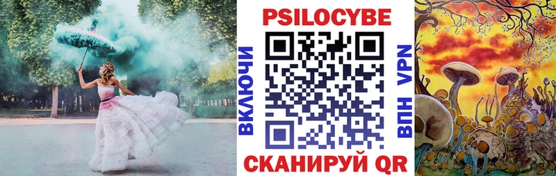 Псилоцибиновые грибы Psilocybine cubensis  mega зеркало  Вышний Волочёк 